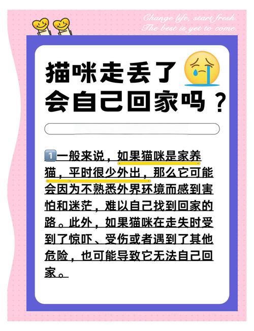 猫咪走丢后它真的能凭借本能自己找到回家的路吗？