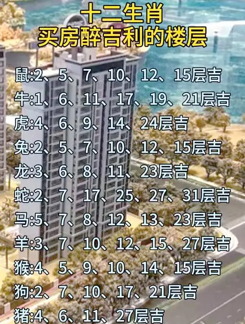 属猪的人最适合购买哪个楼层的房子？