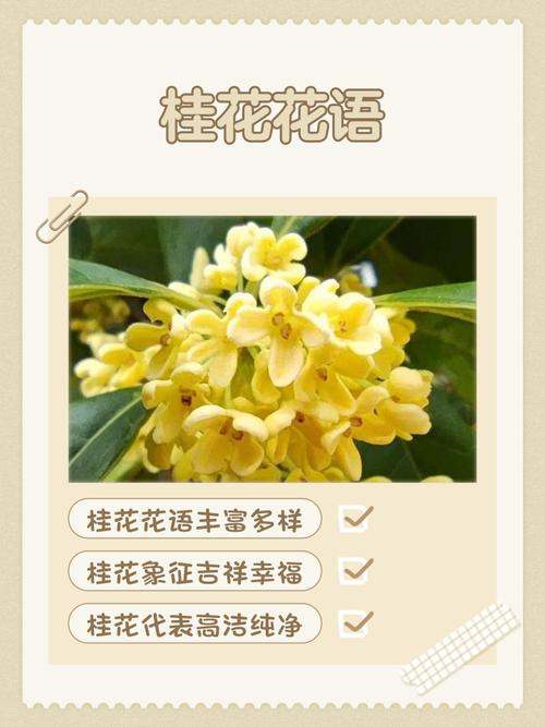 月桂树的花语和象征意义具体有哪些？