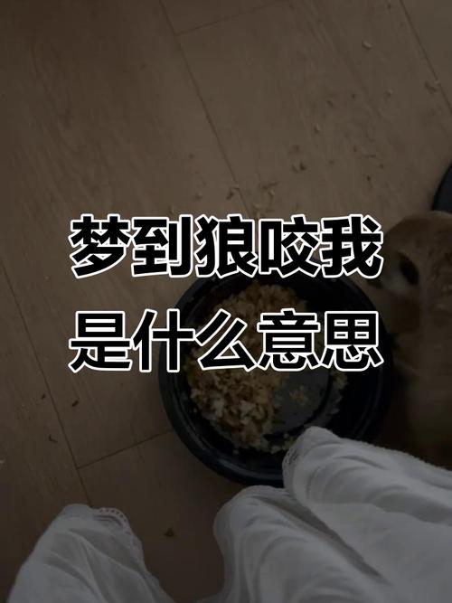 梦见被狼群攻击的预兆是什么？这预示着什么不好的事情会发生吗？