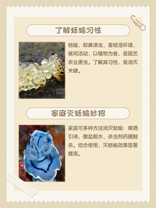 蚰蜒是否会自主离开住宅，或着直接用手拍死它们梗为高效？