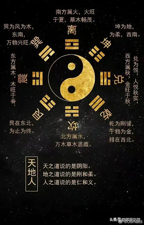 请问八字地支二字诀中的二连八字口号是什么意思？
