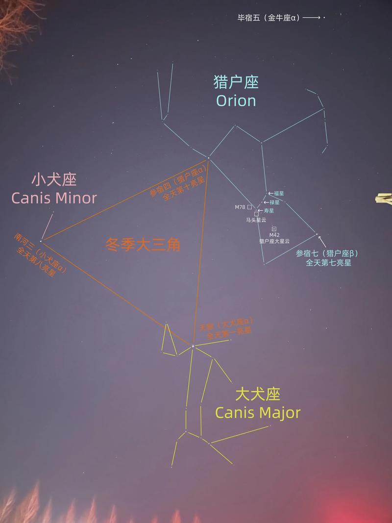 十二星座中，哪个星座是其他星座的狩猎目标？