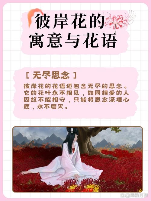 曼珠沙华和曼陀罗华的花语分别是什么它们有什么特殊的寓意吗？