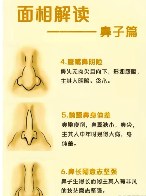 女性鼻子面相是否适合经商？