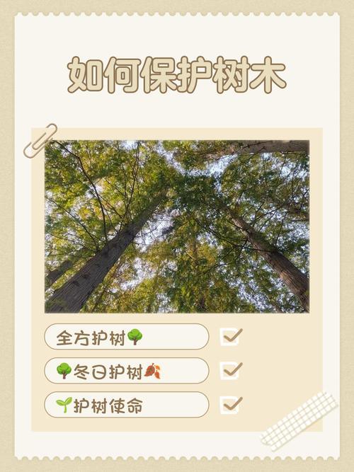 孕妇梦见保护森林是什么预兆？预示着对自然环境的关爱吗？