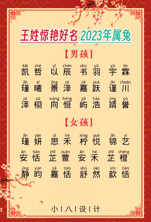 姓王属兔的男孩小名大全里有哪些名字？