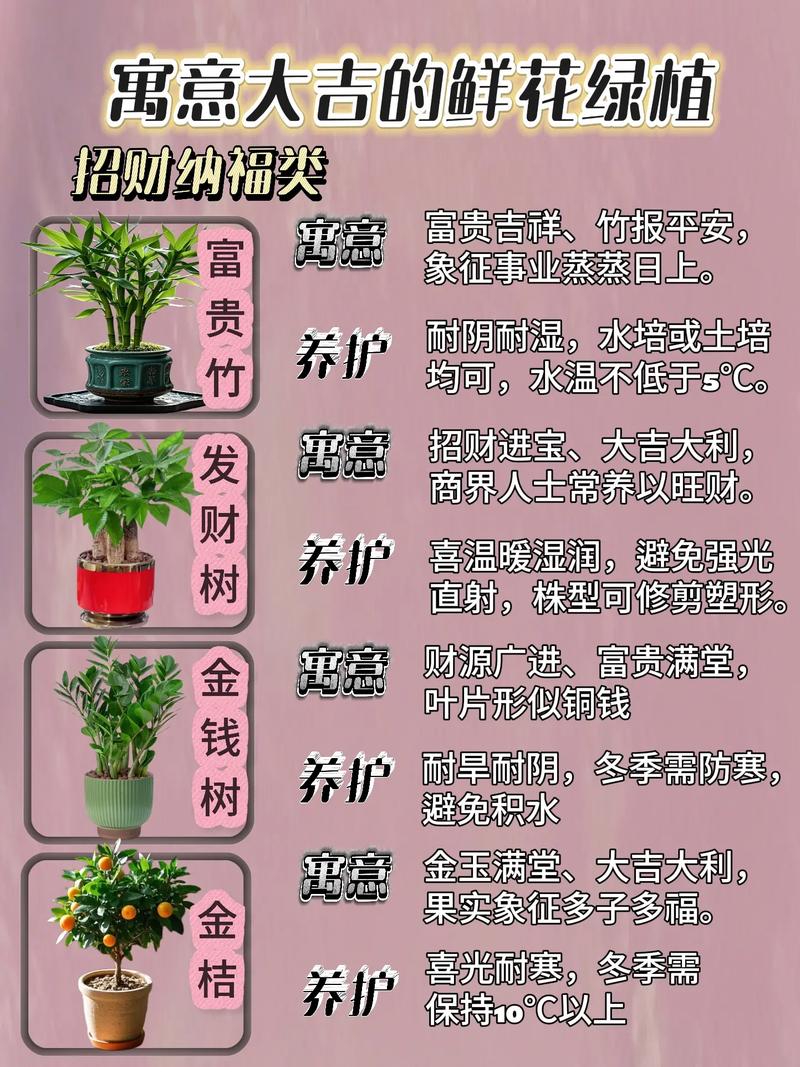 梦见自己种植花朵和树木，预示着什么吉凶？