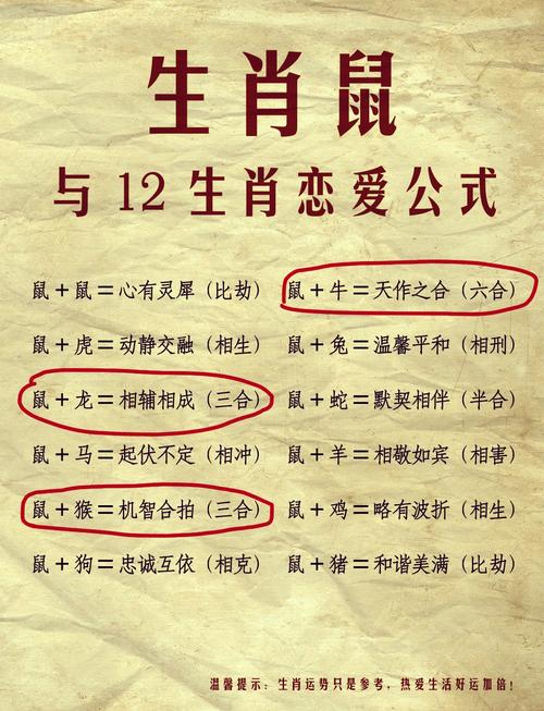 属鼠双子座的男人命运如何，是否命好？