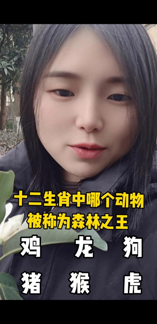 十二生肖中，哪三大生肖分别被称为森林之王？