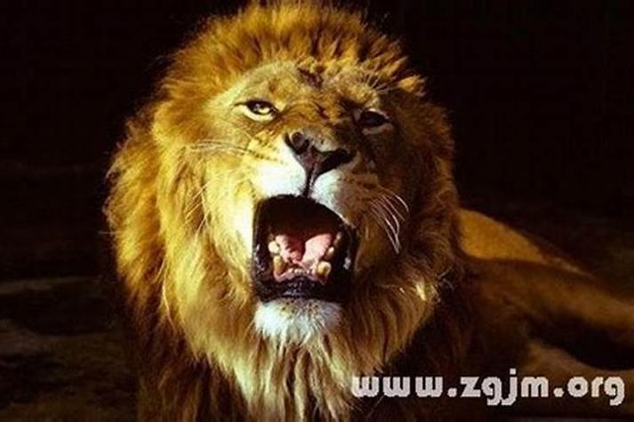 梦见狮子吃人预示着什么？有什么特殊含义或预兆吗？