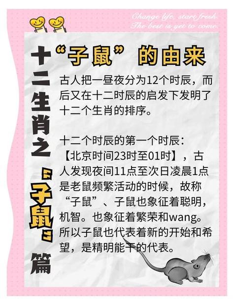 属鼠的人今年需要避免哪些不利因素？