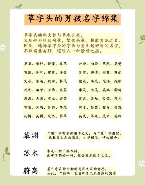 有哪些带草字头的好听名字适合给男孩取？