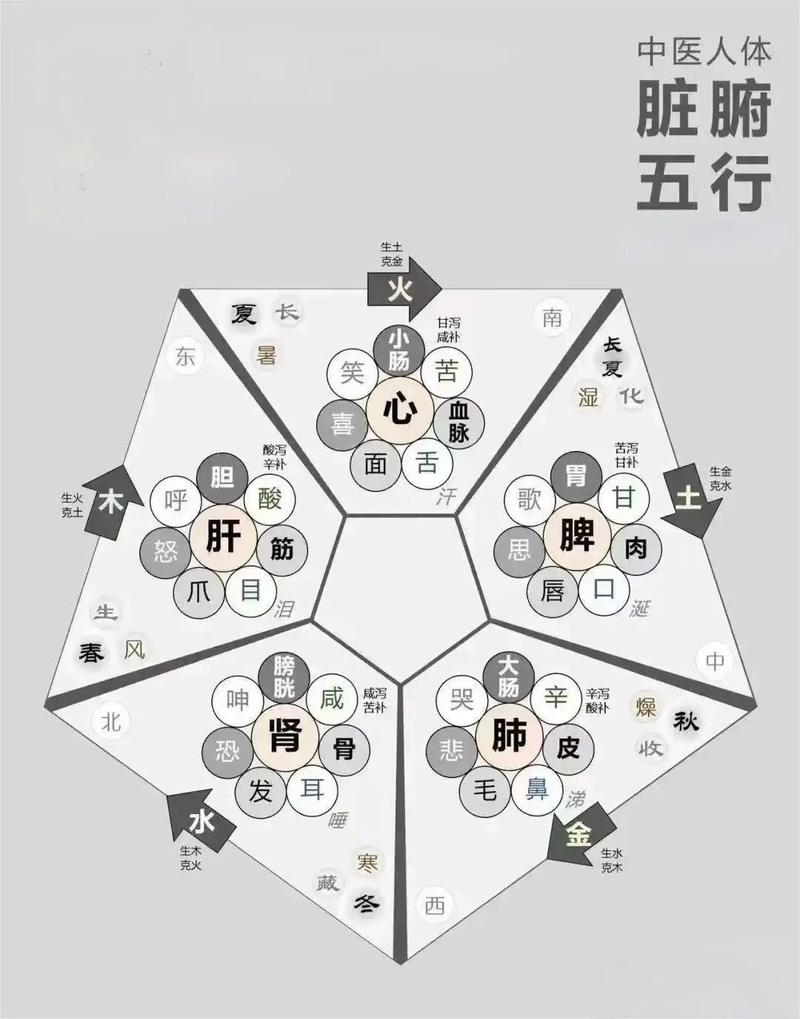 毛发的五行属性究竟属于哪一类？