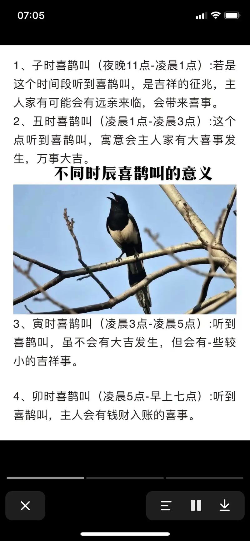 梦见喜鹊究竟预示着什么吉祥的征兆呢？