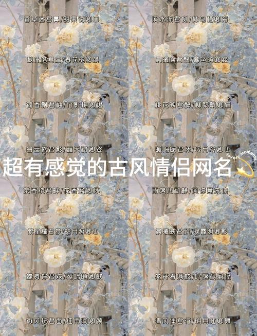 有没有五个字的情侣名字，既诗意又唯美？