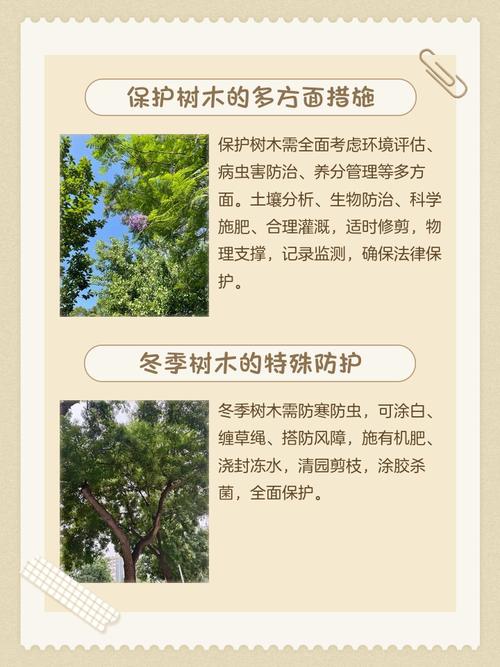 孕妇梦见保护森林是什么预兆？预示着对自然环境的关爱吗？