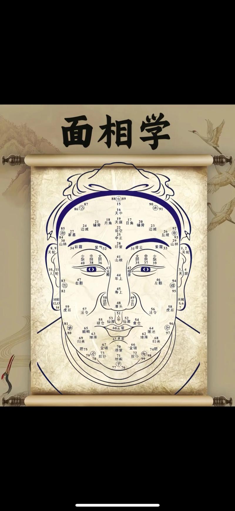 两个眉毛中间的部位叫什么？