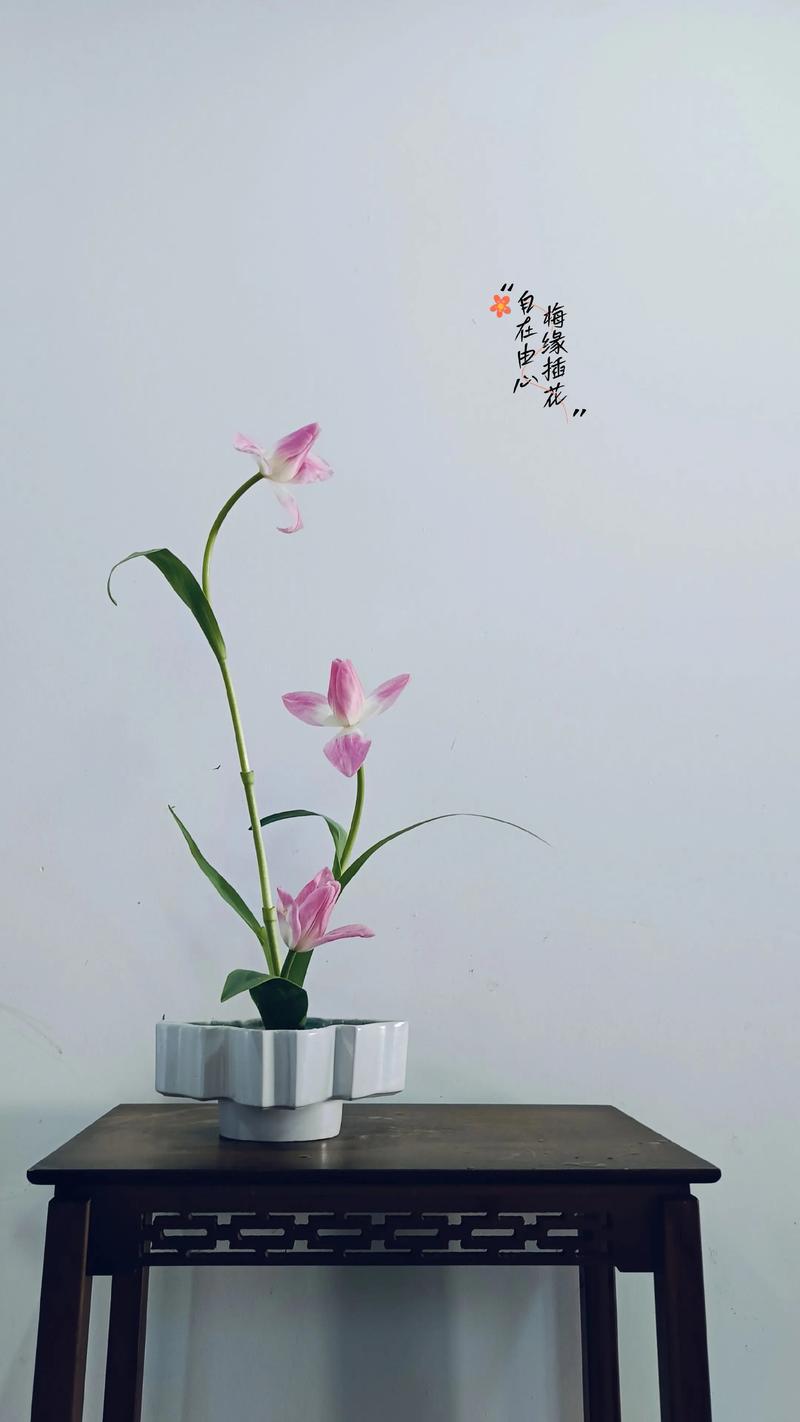 有哪些简单又彳艮有诗意的插花作品名字可依推荐？