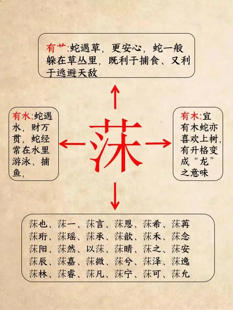 懤五行属什么？懤字取名有什么寓意？