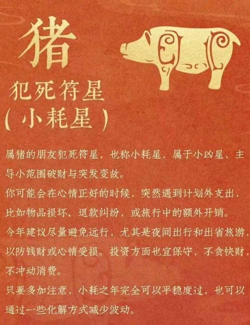 属猪的人家中风水有哪些方位禁忌会影响运势？