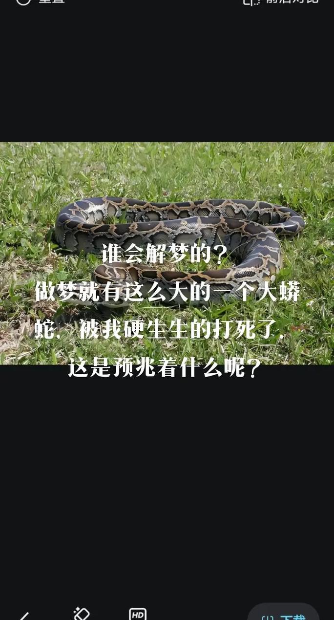 梦见黑色蛇被打死，这预示着什么？