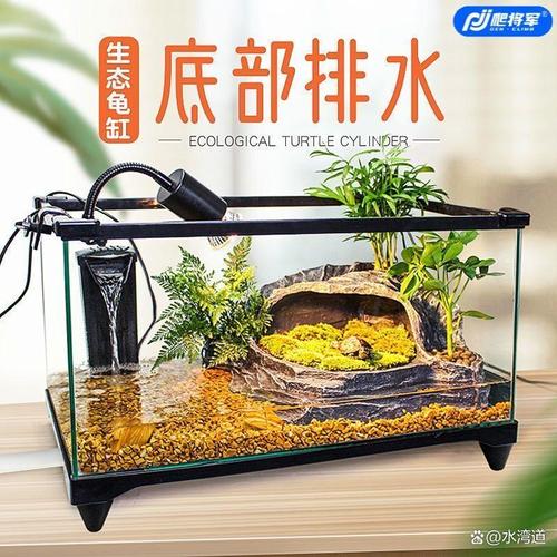 梦见乌龟吞噬鱼缸中的金鱼，预示着什么征兆或含义呢？