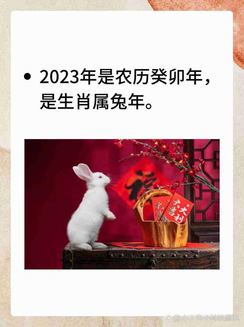 2023年属什么生肖，是哪一年对应的生肖年份呢？