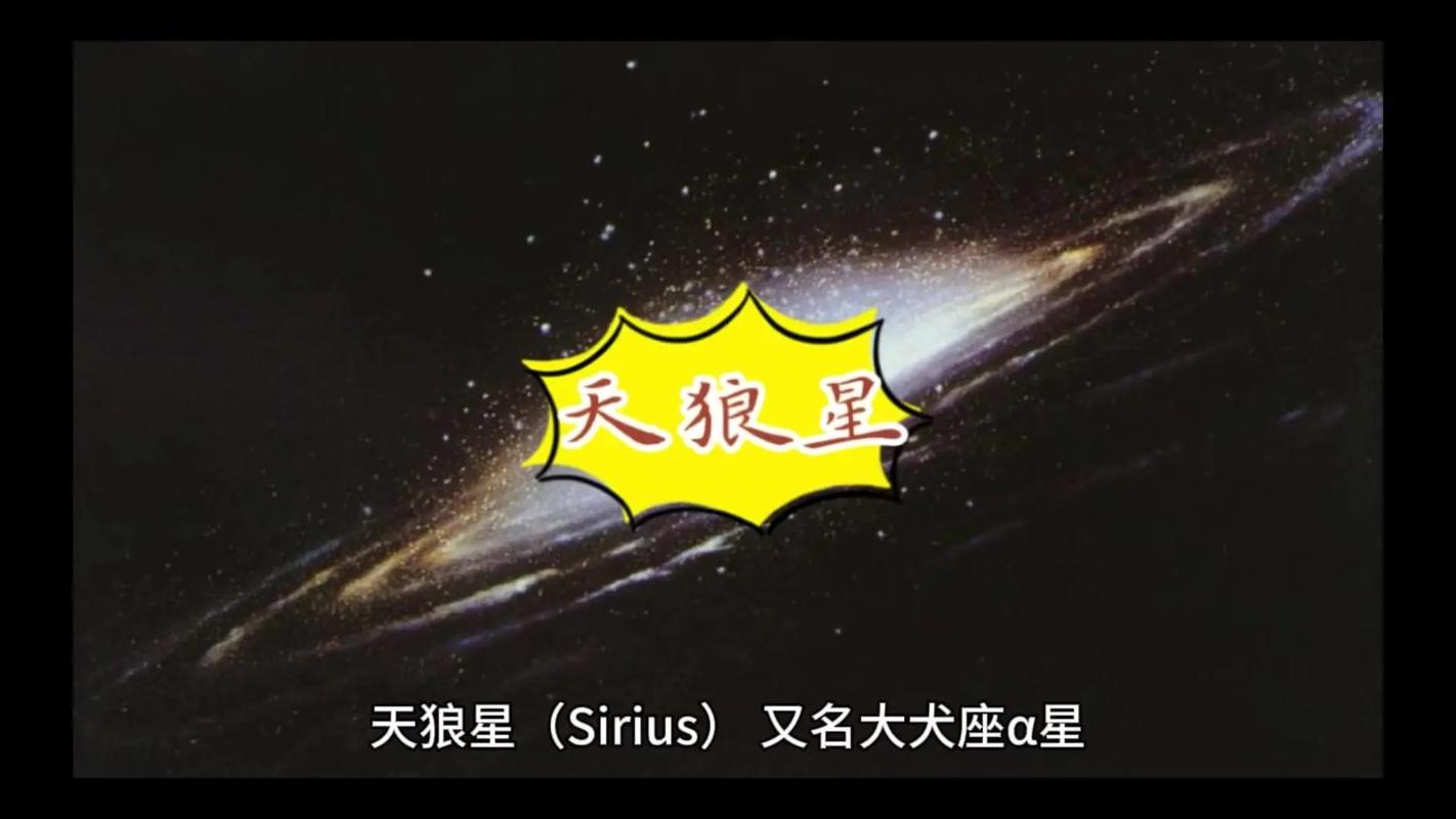 天狼星属于哪个星座，它又被称为大犬座的哪一部分？