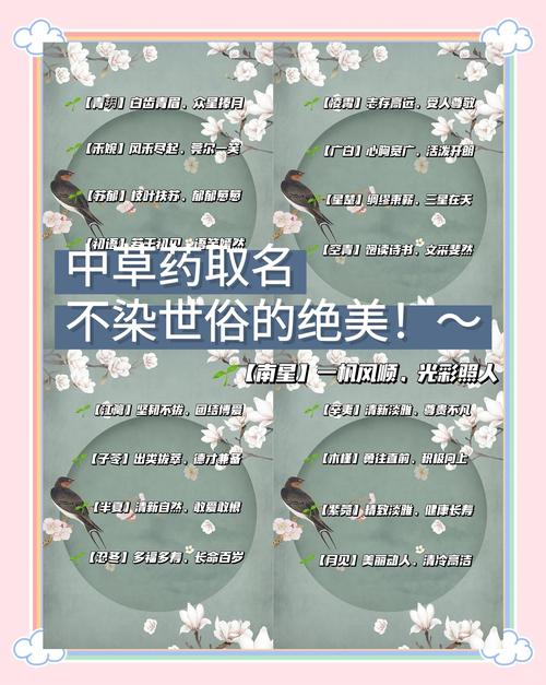 有哪些极美的中药组合名字可以取？