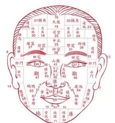 月牙脸的面相如何算是有弹性的好面相？