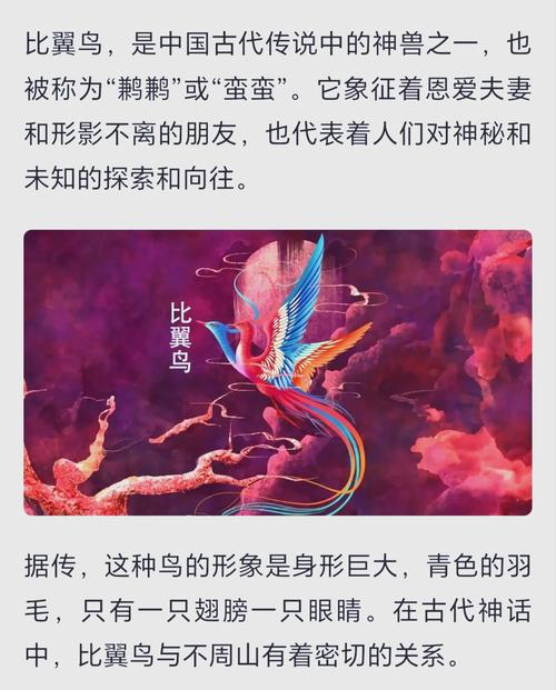 梦见老公长了翅膀，这预示着什么？有什么特殊含义吗？