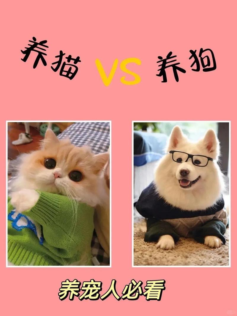 养猫和养狗哪个更符合风水原则，对家居风水有何影响？