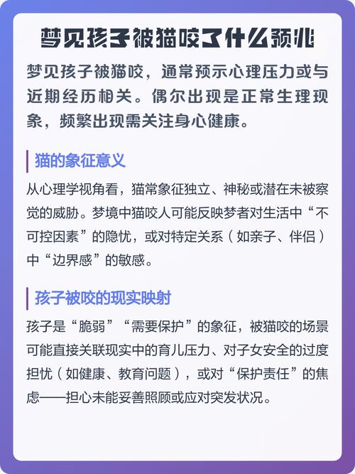梦见儿子被猫咬伤有什么兆头或预兆，预示着什么寓意？