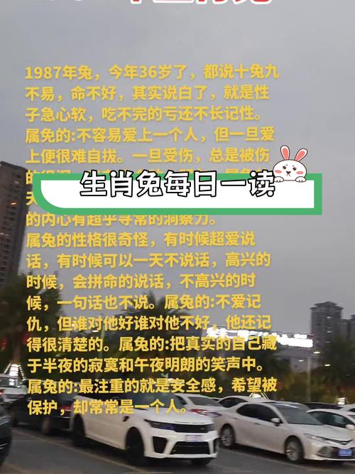 1987年属兔女性在2026年农历九月运势如何?