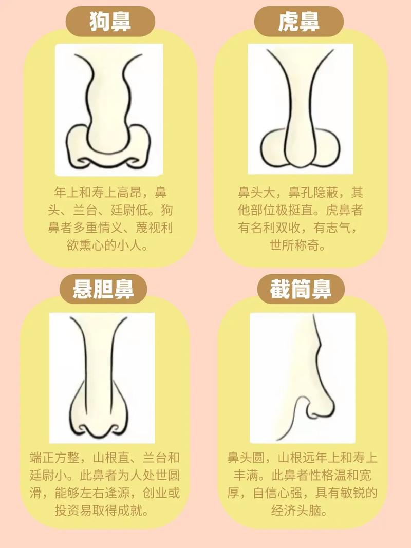 鼻子扁平的人命运究竟如何，他们的生活轨迹和运势会怎样？