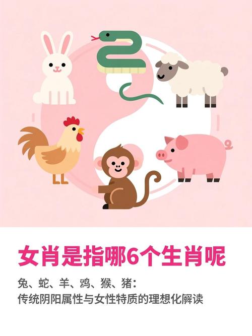 今晚窈窕淑女指的是哪个生肖？