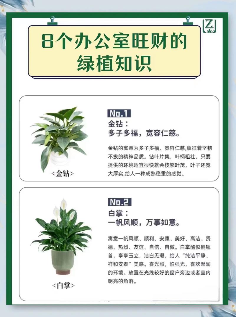 办公室盆栽风水有哪些寓意和作用？
