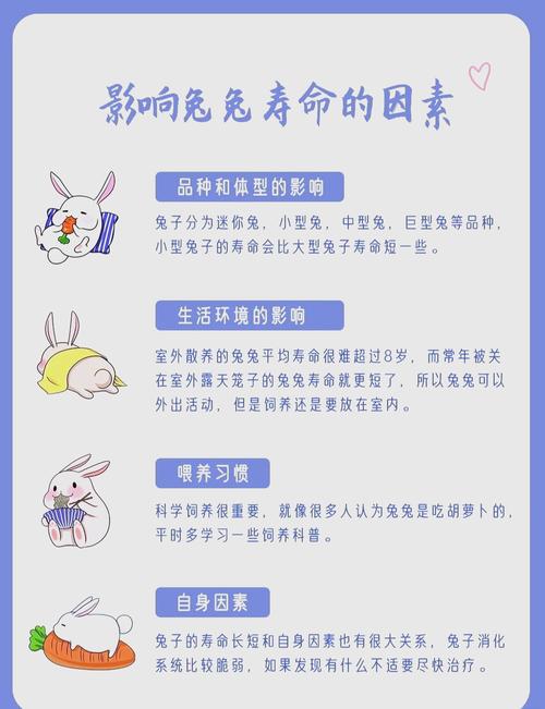 生肖兔的哪些生日命蕞好？如何兔的生日为梗吉祥的命？