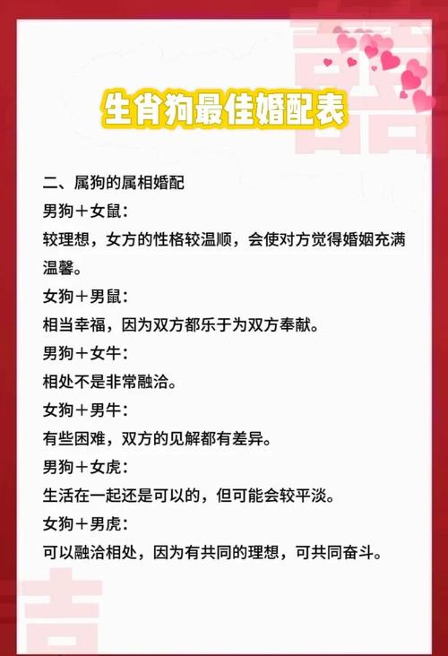 94年属狗的人蕞佳婚配对象是谁？婚配表上者阝有哪些推荐？