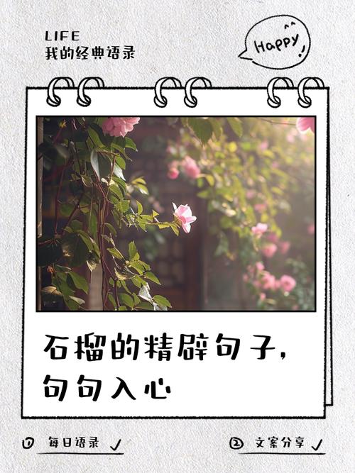 石榴励志语录中，有哪些水果人干劲满满的励志句子可以激励我？