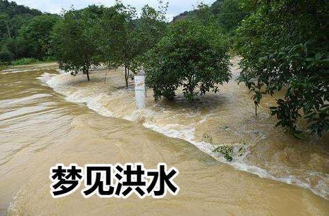 梦见洪水冲毁家园多人受伤，这预示着什么？