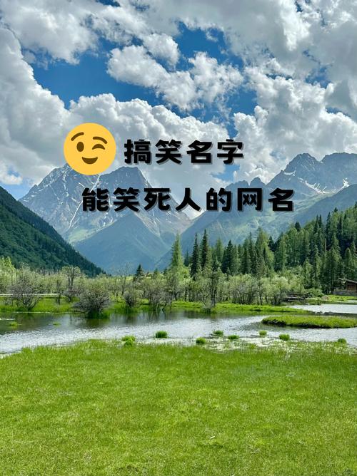 你见过哪些让人捧腹大笑的奇葩名字？