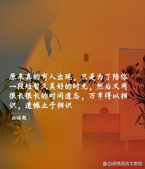 为何情深缘浅，爱而不得的滋味如此苦涩？