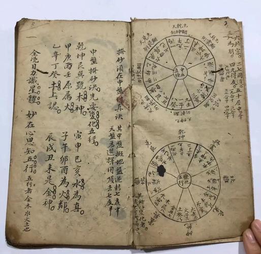 香山堂天星风水中，蛐蛐的寓意究竟有何特殊之处？