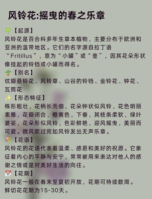 风铃草的花语和寓意究竟是什么它传达了怎样的美好情感和象征意义呢？