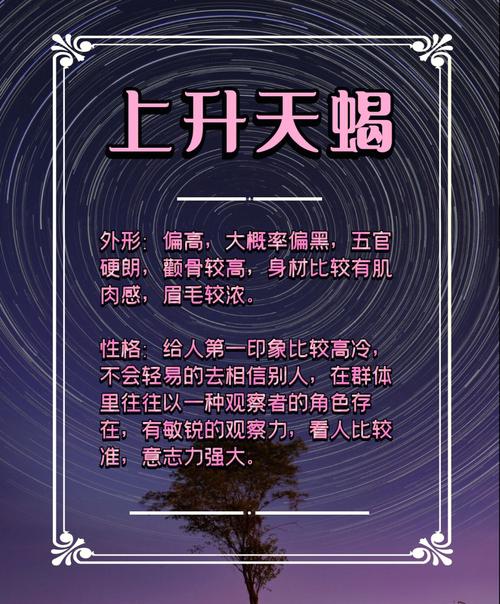 天蝎座的上一星座是哪一个？