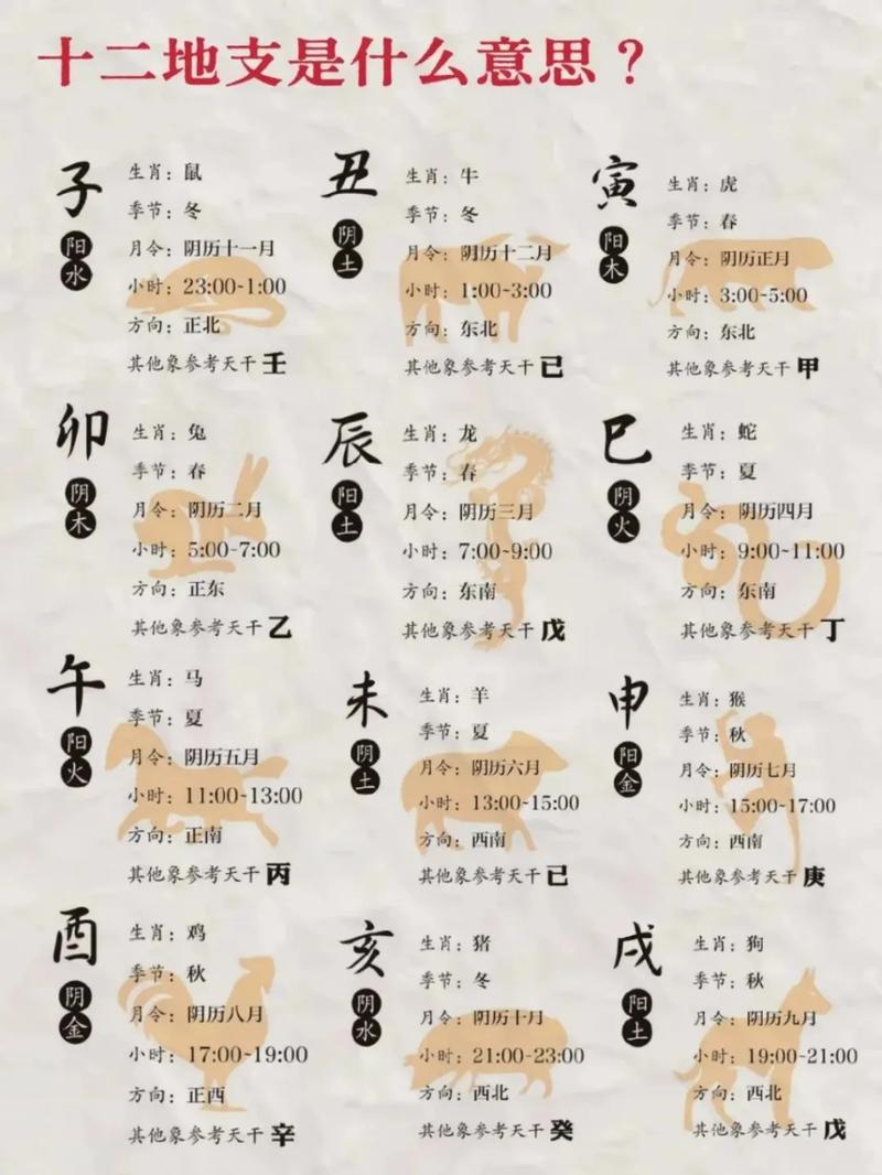十二生肖分别对应哪些天干地支？