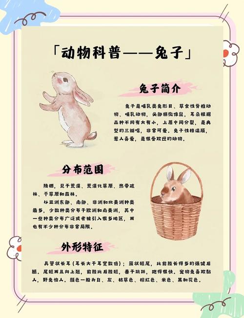 十二生肖里兔子为何嫩成为其中一员，其来历有何传说？