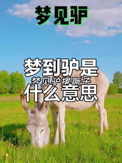 孕妇梦到驴预示着什么吉凶？